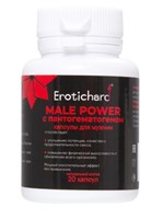 Капсулы для мужчин Erotichard male power с пантогематогеном - 20 капсул (0,370 гр.) - фото 38192