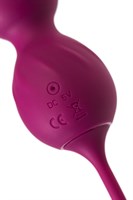 Бордовые вагинальные шарики Moussy с вибрацией и пультом ДУ - фото 1423849