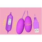 Фиолетовые гладкие виброяйца, работающие от USB - фото 1436793