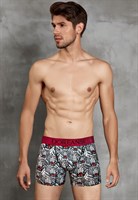 Мужские трусы-боксеры Doreanse Wild Tiger 360167