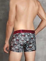 Мужские трусы-боксеры Doreanse Wild Tiger 360167