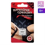 Неоновый кубик «Территория соблазна. Наслаждение для него» 366038 - фото 584614