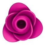 Ярко-розовый вакуум-волновой стимулятор Pro 2 Modern Blossom - фото 1425741
