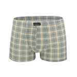 Клетчатые трусы-шорты 375638