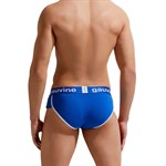 Мужские трусы-брифы Gauvine 399570