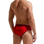 Мужские трусы-брифы Gauvine 399570