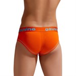 Мужские трусы-брифы Colours of the Planet Trunk 399711