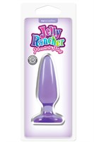 Малая фиолетовая анальная пробка Jelly Rancher Pleasure Plug Small - 10,2 см. - фото 190571