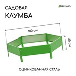 Зеленая оцинкованная шестиугольная клумба (длина 100 см) 407391 - фото 692091