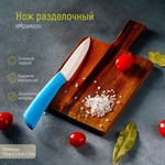 Нож керамический Доляна «Симпл», лезвие 10,5 см, ручка soft touch, цвет синий 412895 - фото 671523