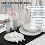 Набор пластиковой одноразовой посуды на 6 персон «Биг-Пак №1» 424346 - фото 775925