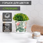 Горшок для цветов «Стрелиция» - 800 мл. 424937 - фото 739701