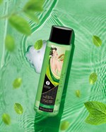 Гель для душа Sensual Mint с ароматом мяты - 370 мл. - фото 1439329