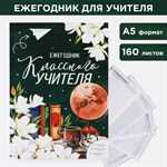 Ежегодник «Классного учителя», формат А5, 160 листов, мягкая обложка 433928 - фото 812441