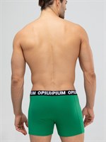 Хлопковые трусы-боксеры с двойным гульфиком 451070