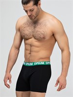 Хлопковые трусы-боксеры с двойным гульфиком 451070