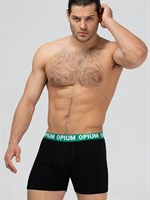 Хлопковые трусы-боксеры с двойным гульфиком 451070