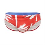 Красные мужские плавки-брифы с принтом в виде пальм 455499