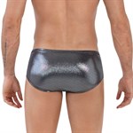 Серебристые трусы-брифы Chakra Latin Brief 460703 - фото 68160