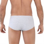 Серые трусы-брифы Spirit Piping Brief 460711