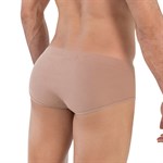 Коричневые трусы-брифы Spirit Piping Brief 460715 - фото 870063 Коричневые трусы-брифы Spirit Piping Brief 460715 - фото 870063