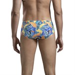 Яркие плавки с принтом в виде листьев и туканов Aves Swimsuit Brief 514734 Яркие плавки с принтом в виде листьев и туканов Aves Swimsuit Brief 514734