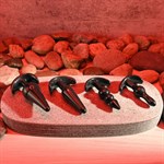 Набор из 4 анальных пробок-якорей Intro To Plugs 516409