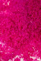 Соль Мёртвого моря для ванны Oriental Crystals «Афродизия» - 500 гр. 519171