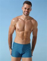 Мужские пляжные боксеры +size с геометрическим принтом 520156