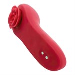 Красный вибратор в трусики Funtown Caleo с магнитным держателем-розой 521085