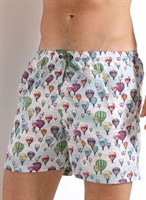 Мужские пляжные шорты с принтом в виде воздушных шаров 522032