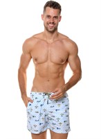 Мужские пляжные шорты с принтом в виде самолетов 522035