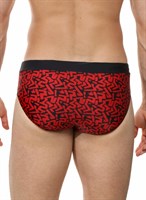 Мужские пляжные плавки с принтом 522083