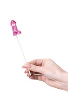 Набор из 2 мини-леденцов в форме члена со вкусом айриш крим 523566