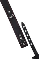 Кожаный двухслойный ошейник с красной строчкой и поводком 523629