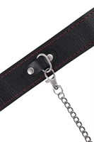 Кожаный двухслойный ошейник с красной строчкой и поводком 523629