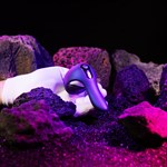 Фиолетовое эрекционное виброкольцо Solar 525524