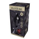 Серебристая анальная втулка Mini Metal Butt Plug Size M с красным кристаллом 527108