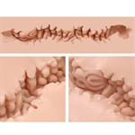 Мастурбатор-анус Naked Factory A-01 527893 Мастурбатор-анус Naked Factory A-01 527893