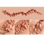 Мастурбатор-полуторс Naked Factory Laura 527897 Мастурбатор-полуторс Naked Factory Laura 527897