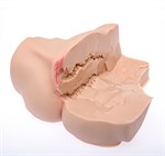 Мастурбатор-полуторс Naked Factory Laura 527897 Мастурбатор-полуторс Naked Factory Laura 527897