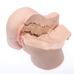 Мастурбатор-полуторс Naked Factory Nicole 527898