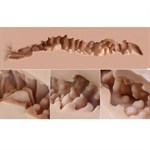 Мастурбатор-полуторс Naked Factory Nicole 527898