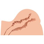 Мастурбатор-полуторс Naked Factory Kate 527899