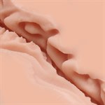 Мастурбатор-вагина Naked Factory V-02 527906