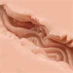 Мастурбатор-вагина Naked Factory V-04 527908 Мастурбатор-вагина Naked Factory V-04 527908