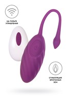 Фиолетовое силиконовое виброяйцо Purr 529452
