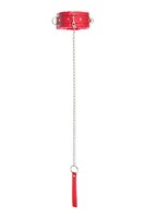 Красный ошейник с подкладкой из меха 529519