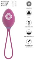 Фиолетовый вагинальный шарик ROVANA RC Love Ball 531680