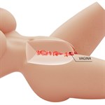 Телесный мастурбатор-торс Lily 531998